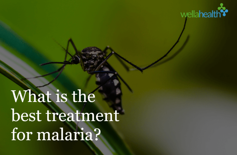 What is the best treatment for malaria? WellaHealth