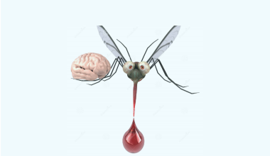 When malaria affects the brain