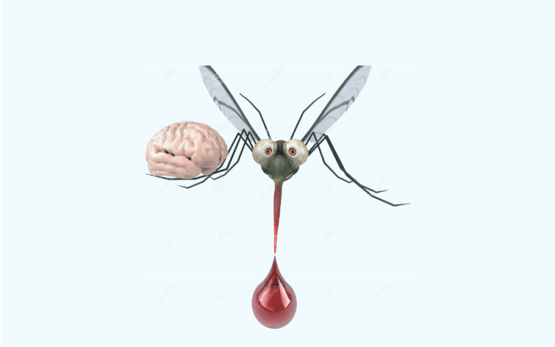 When malaria affects the brain