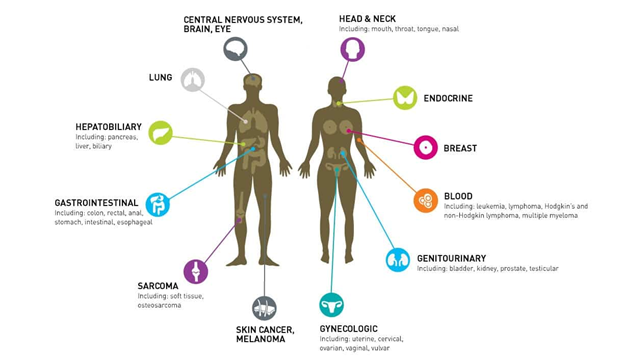 Cancer: Common Types and Symptoms – WellaHealth